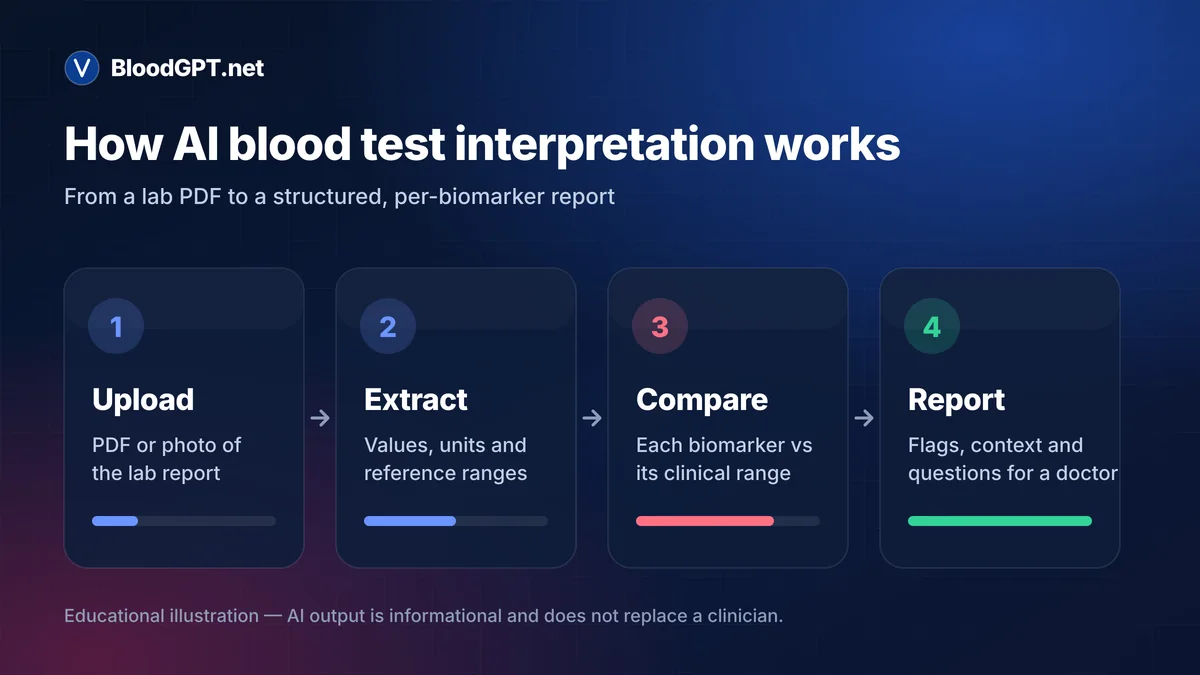 How AI blood test interpretation works: upload, extraction, reference ranges, structured report